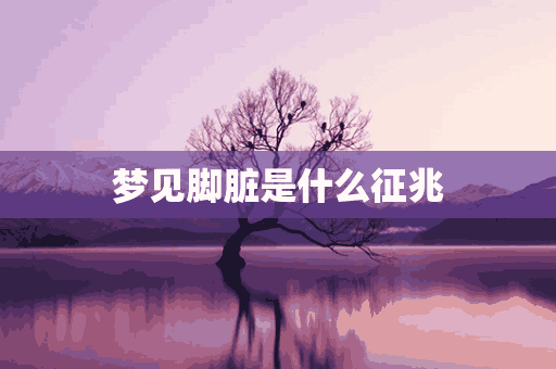 梦见脚脏是什么征兆